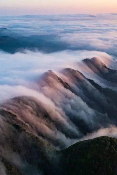 Taoist strange fairy