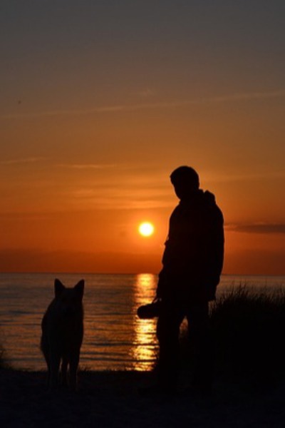 The Crafter and Cookies