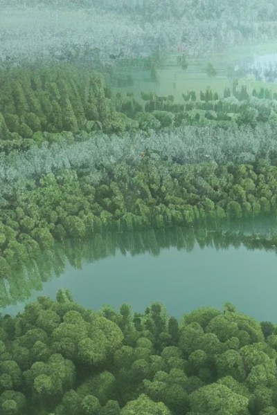 Nothing interesting to see here