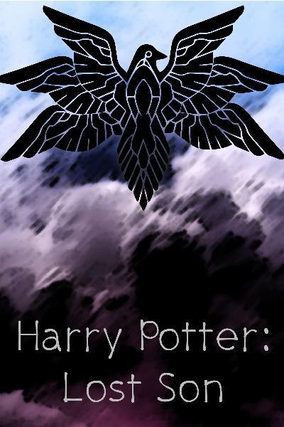 Harry Potter: Lost Son