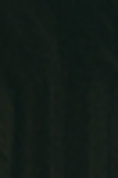 The Broken Silence of Shadows