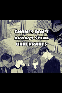 Gnomes don't always steal underpants