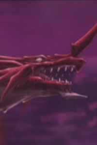 A Different Path To Follow