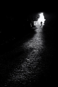 A Descent Into Madness