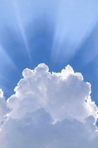 Happy Facility: Origins