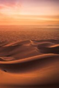 The Skeleton's Diary