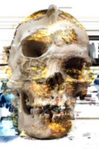 Distortion: A NPC VS Reality