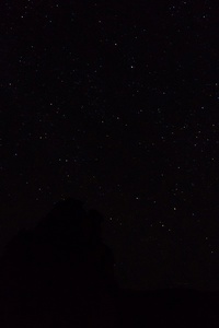 Roulette: A Random Tale