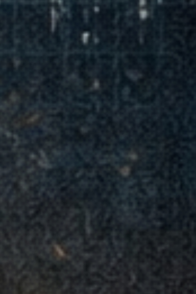 The Blueprint of Shadows