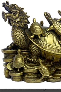 (Rewritten) evolution of a turtle