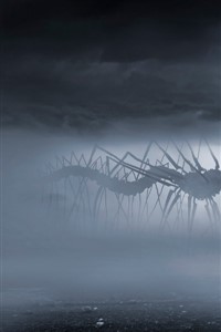 From The Other Side - The Spine