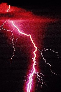 Speedster in A New World