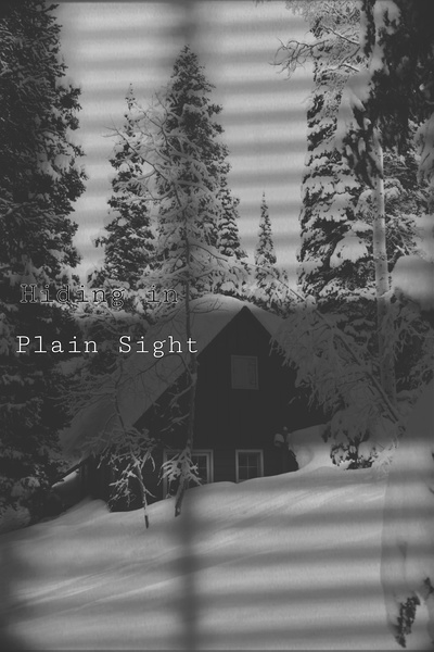 Hiding In Plain Sight