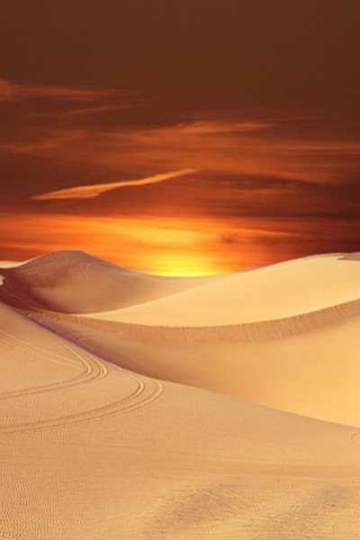 Climb of Nimrod. (Lit-rpg, Comedy)